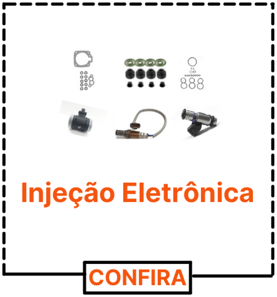 injecao