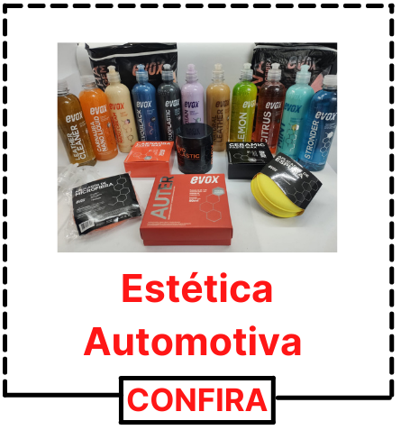 estetica automotiva 1